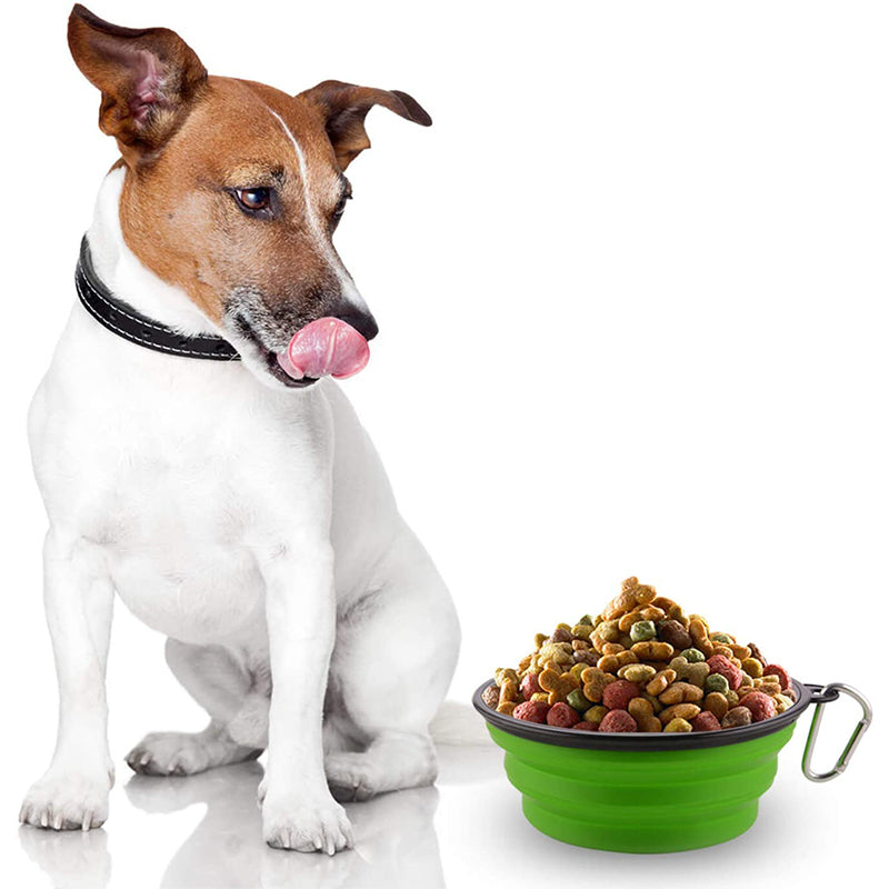 Collapsible Silicone Bowl for Dogs - 350ml
